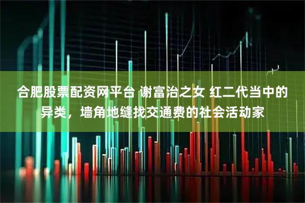 合肥股票配资网平台 谢富治之女 红二代当中的异类，墙角地缝找交通费的社会活动家