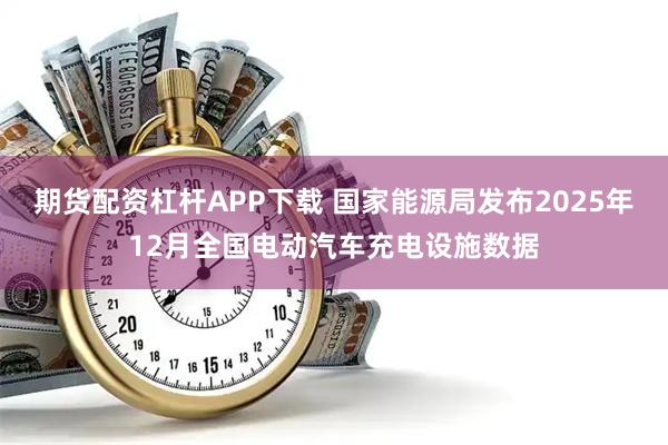 期货配资杠杆APP下载 国家能源局发布2025年12月全国电动汽车充电设施数据