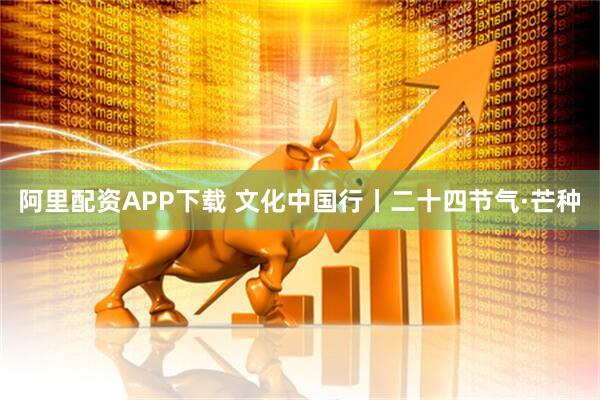 阿里配资APP下载 文化中国行丨二十四节气·芒种